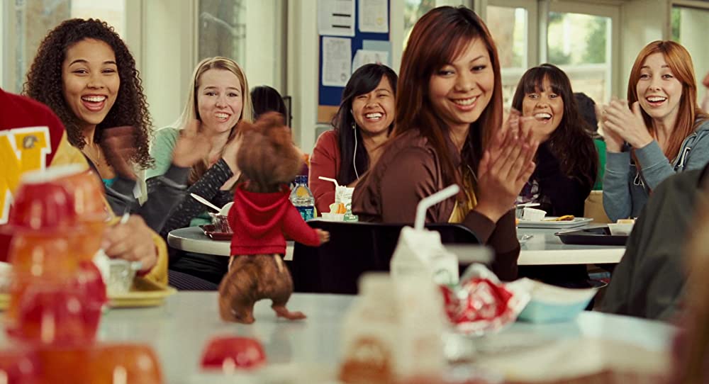 アルビン2 シマリス3兄弟（しまっピーズ） vs. 3姉妹（しまペッツ）の画像