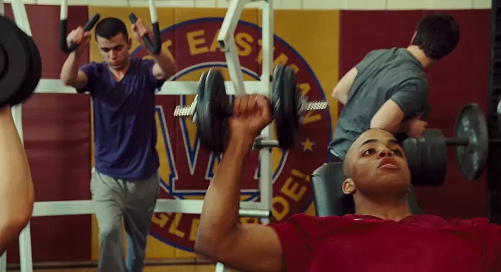 アルビン2 シマリス3兄弟（しまっピーズ） vs. 3姉妹（しまペッツ）の画像