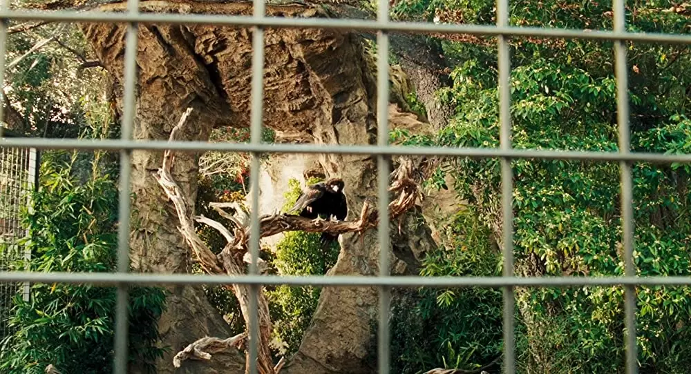 アルビン2 シマリス3兄弟（しまっピーズ） vs. 3姉妹（しまペッツ）の画像