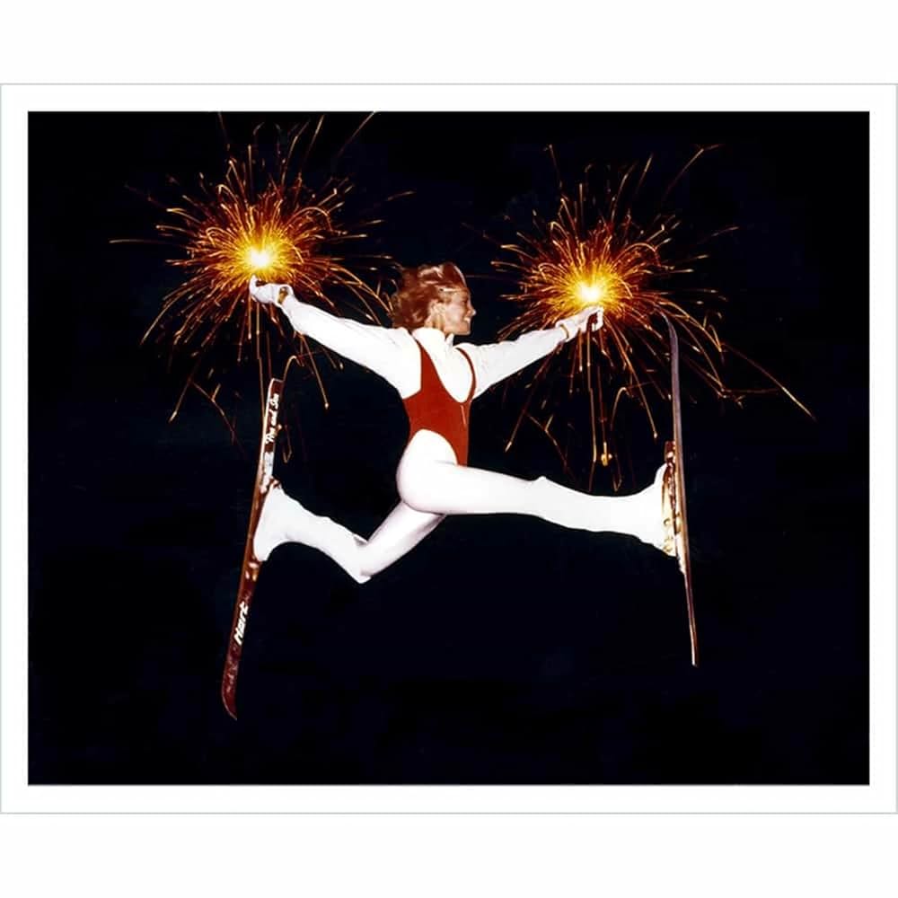 ドラゴン・スレイヤー炎の竜と氷の竜の写真