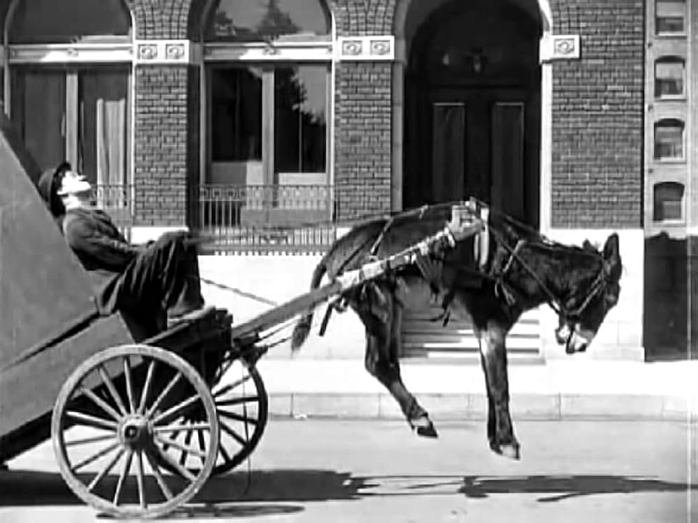 アルコール先生ピアノの巻の画像