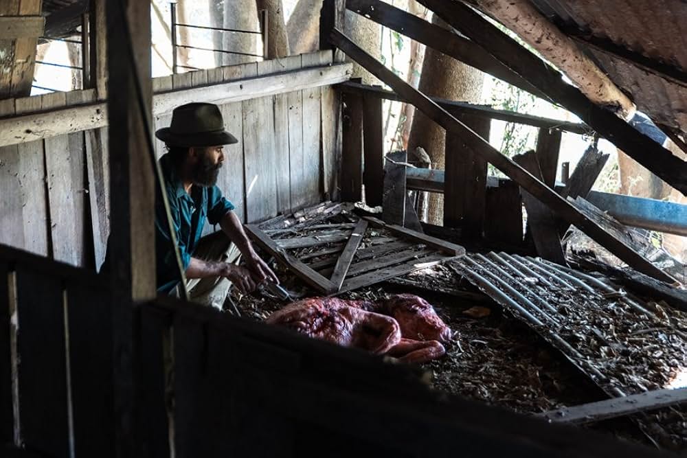 The Demon Disorder（原題）の画像