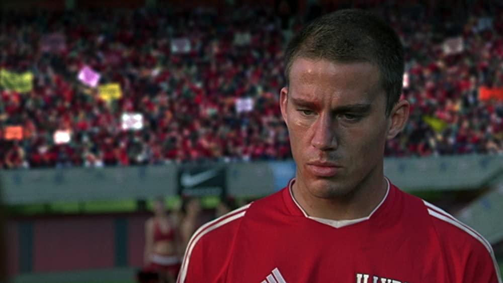 アメリカン・ピーチパイの画像