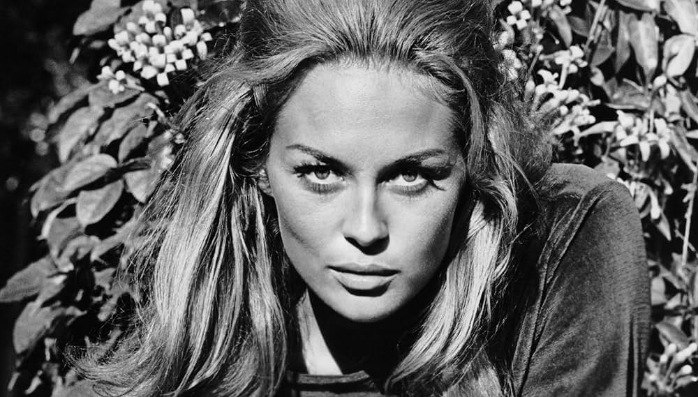 Faye（原題）の画像