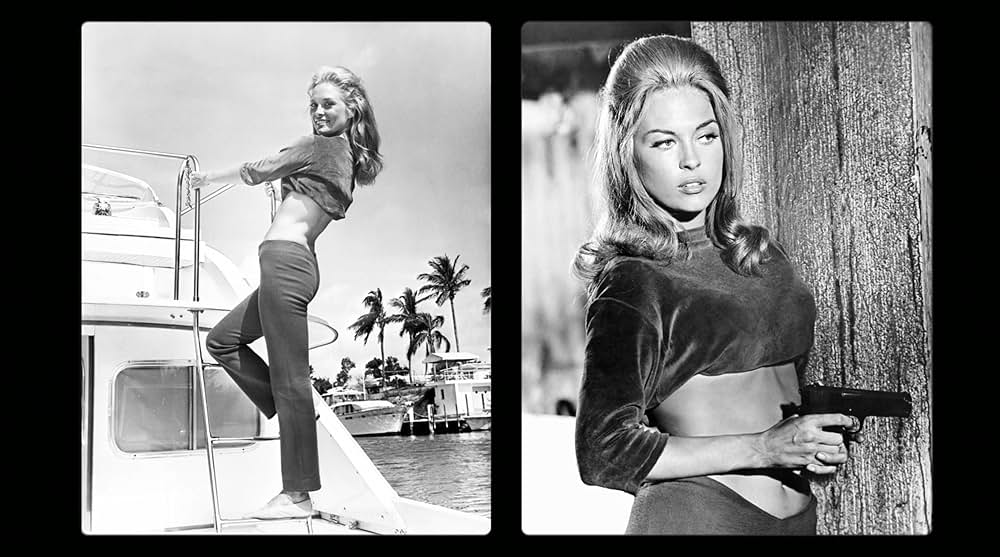 Faye（原題）の画像