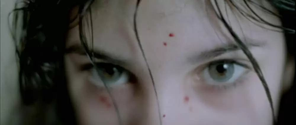 ぼくのエリ 200歳の少女の画像