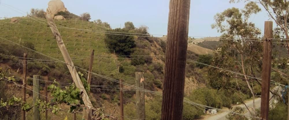 ネイキッド・ビーストの画像