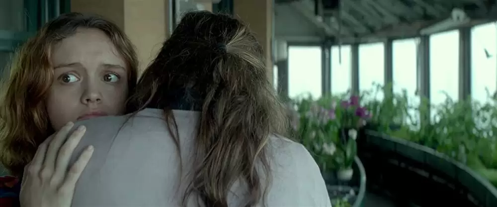 ぼくとアールと彼女のさよならの画像