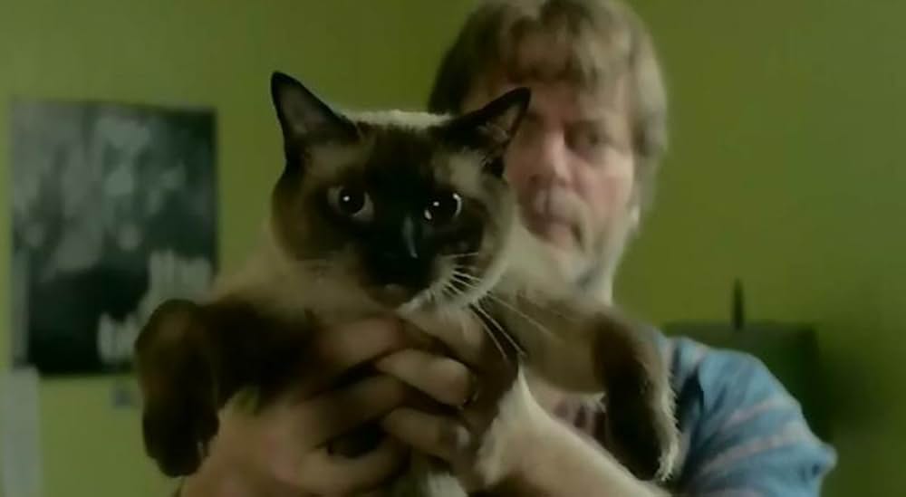 ぼくとアールと彼女のさよならの画像