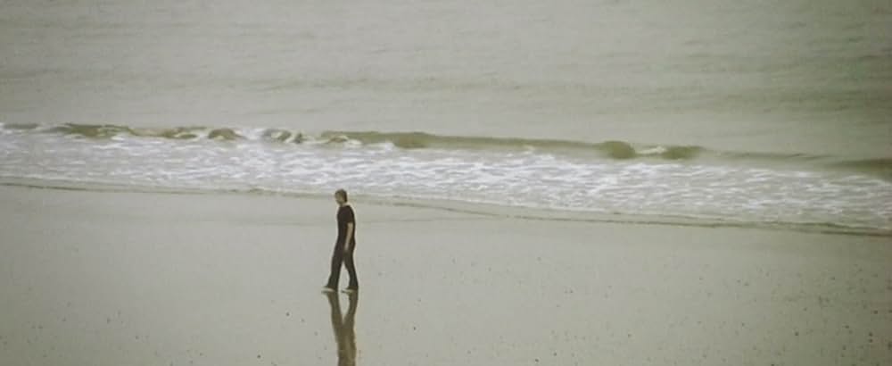 ウイルスの画像