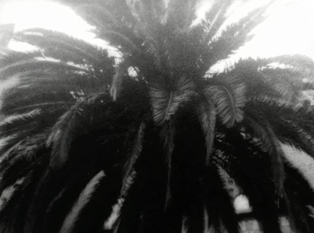 Cuadecuc, vampir（原題）の画像