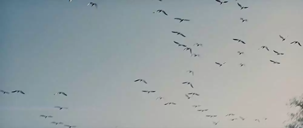 MUD -マッド-の画像