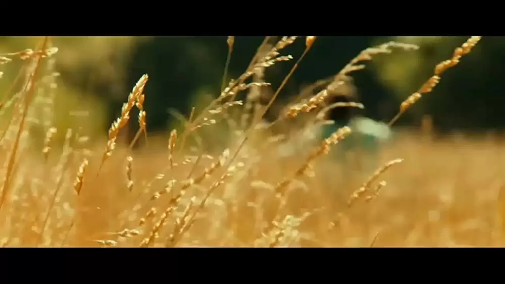 スティーブ・ジョブズの画像