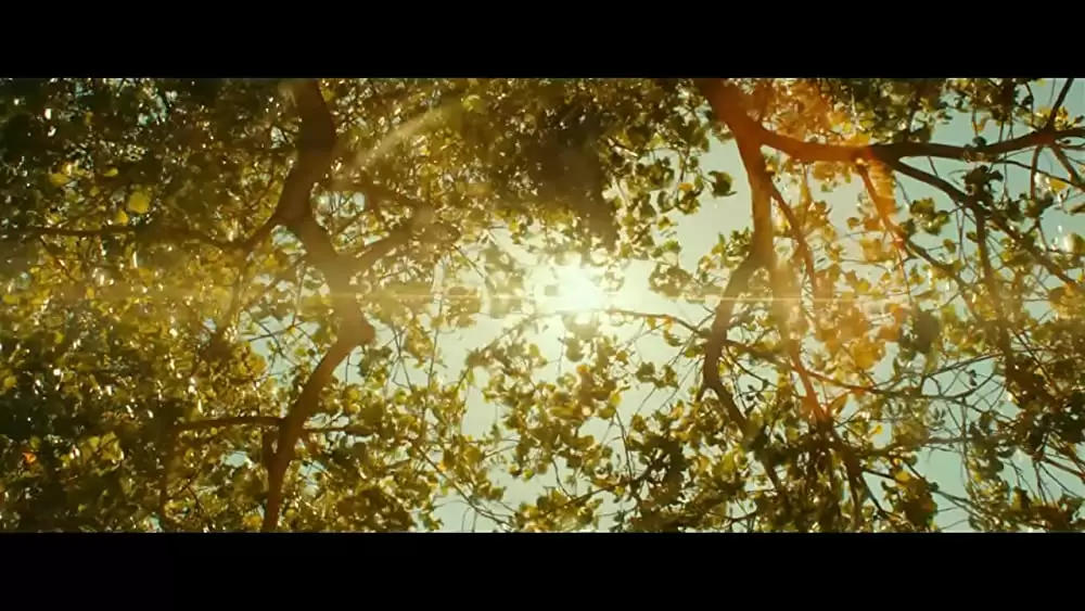 スティーブ・ジョブズの画像