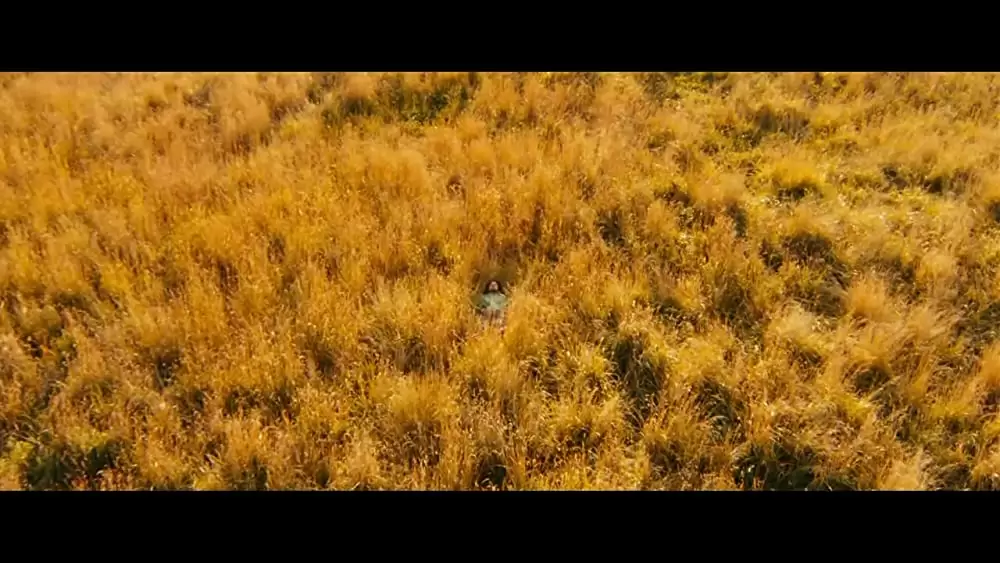 スティーブ・ジョブズの画像