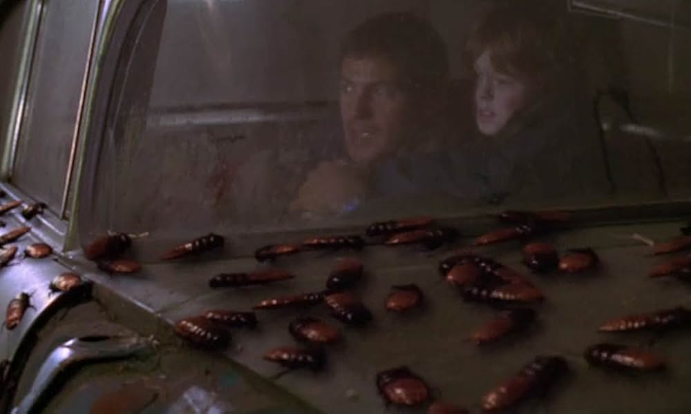 ブラッダの画像