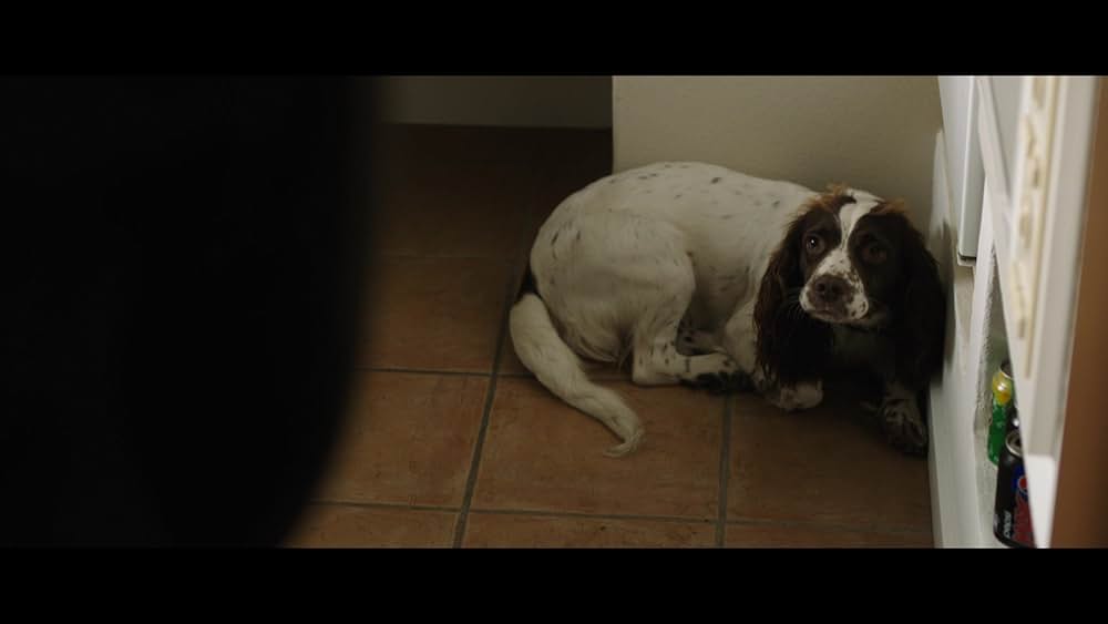 偽りなき者の画像