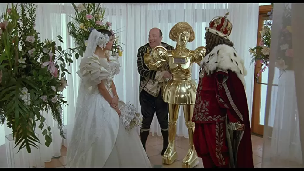 「スペースボール」ジョーン・リバース & ダフネ・ズニーガ & Ken Olfson & ディック・バン・パタン & Lorene Yarnell Janssonの画像