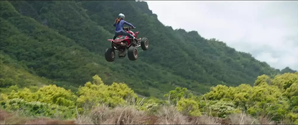 ウェディング・フィーバー ゲスな男女のハワイ旅行の画像