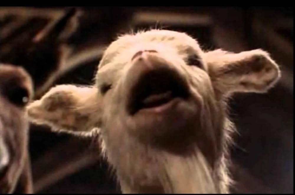 アニマルファームの写真