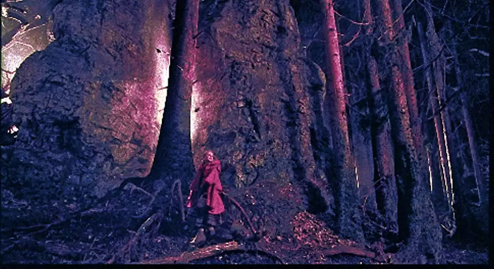 ブラザーズ・グリムの画像