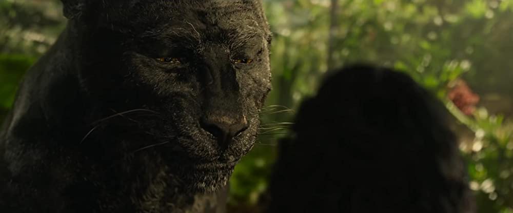 モーグリ: ジャングルの伝説の画像