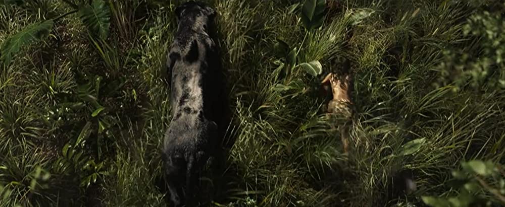 モーグリ: ジャングルの伝説の画像