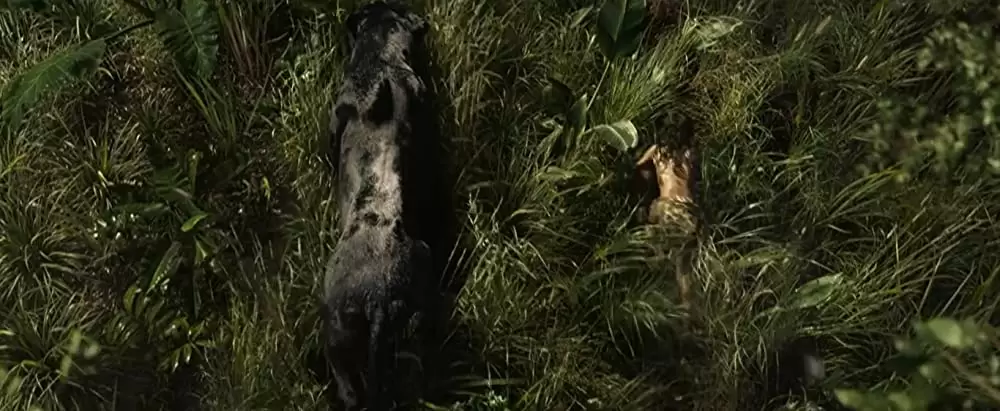 モーグリ: ジャングルの伝説の画像