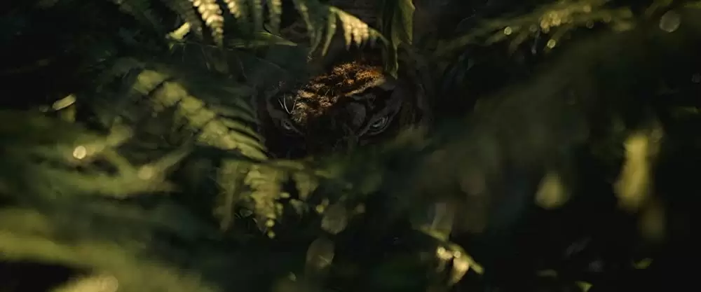 モーグリ: ジャングルの伝説の画像