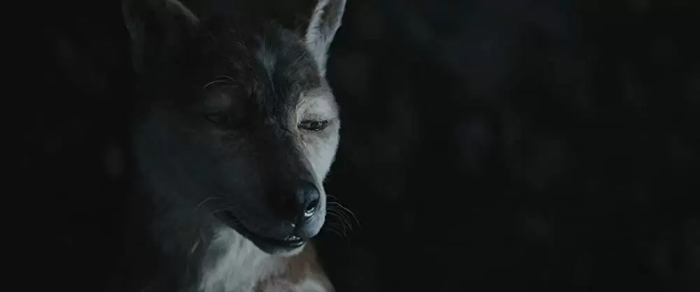 モーグリ: ジャングルの伝説の画像