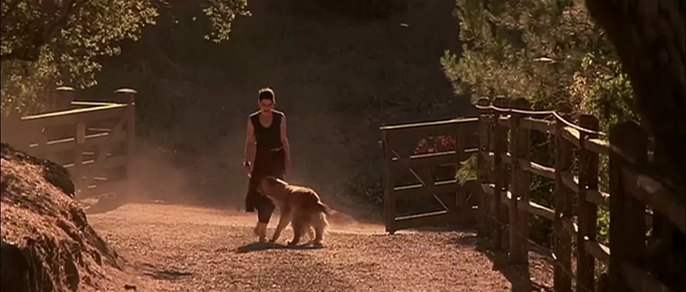 スクリーム3の画像