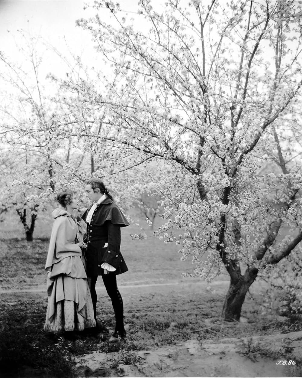 When a Man Loves（原題）の画像