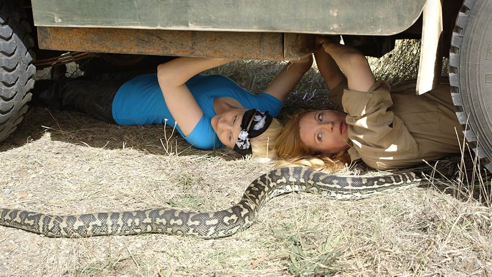 36 Husbands（原題）の画像