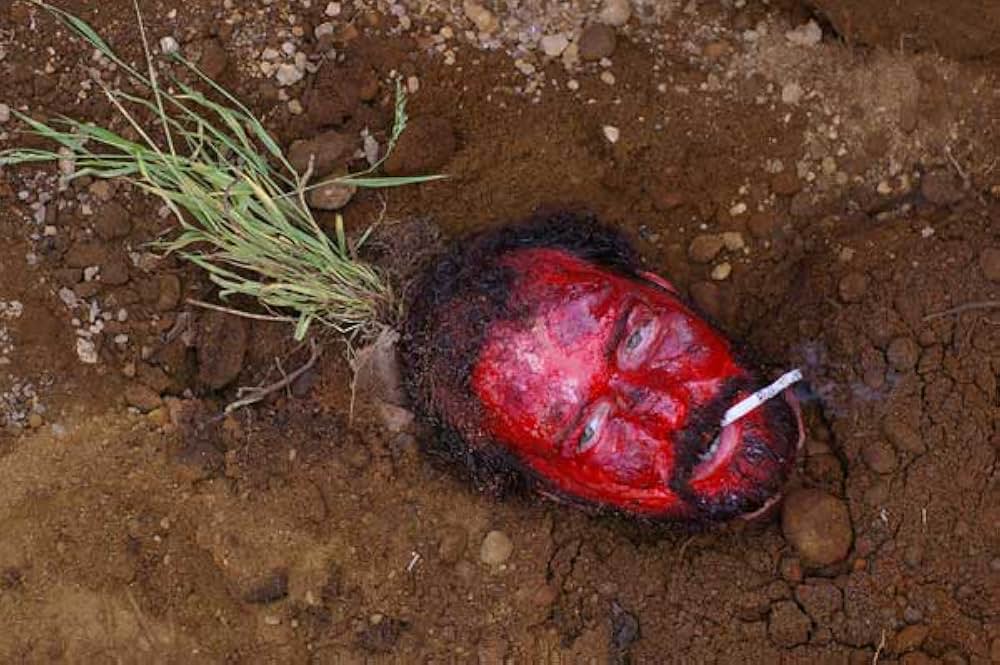 Star Vehicle（原題）の画像