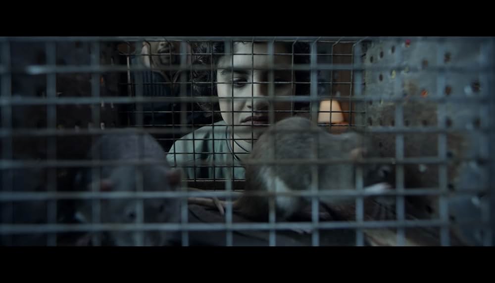 Eat Brains Love（原題）の画像