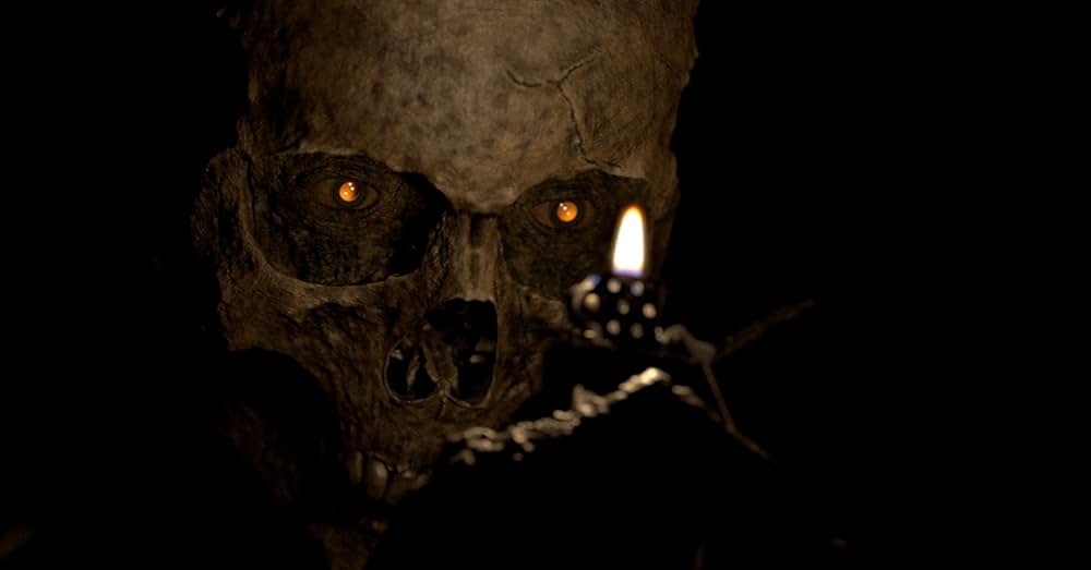 スケルトン 237の画像