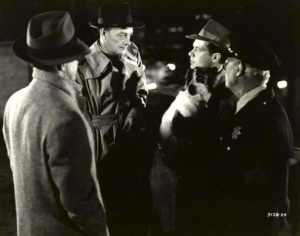 消えた目撃者の画像