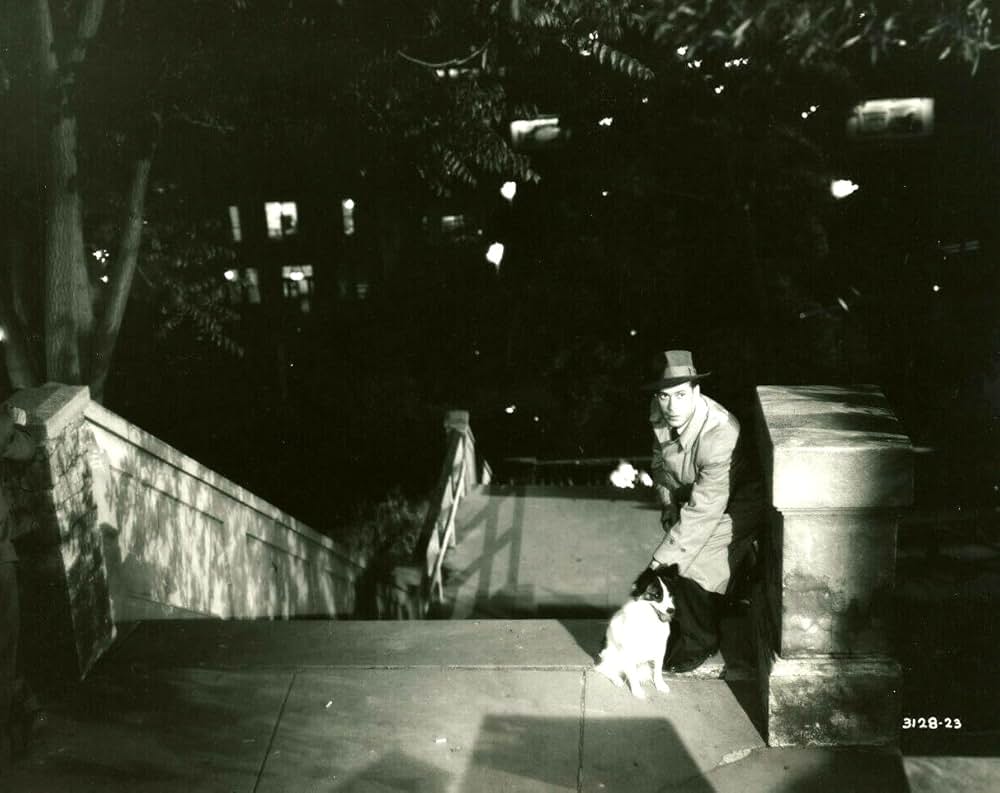 消えた目撃者の画像