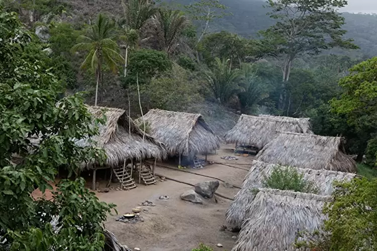 ロスト・シティZ 失われた黄金都市の画像