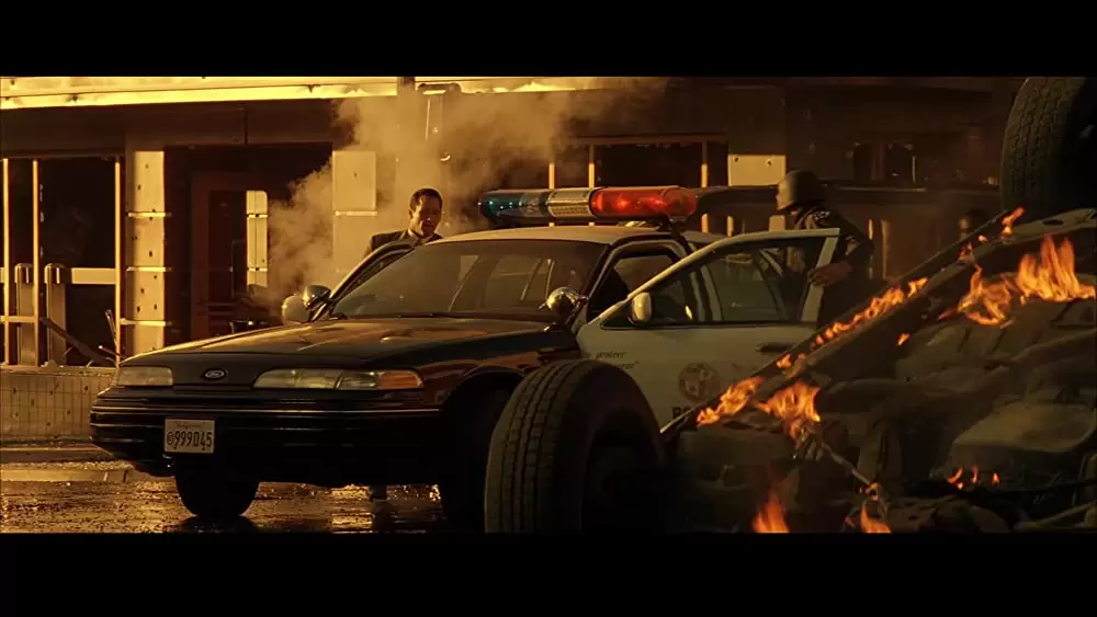 ソードフィッシュの画像