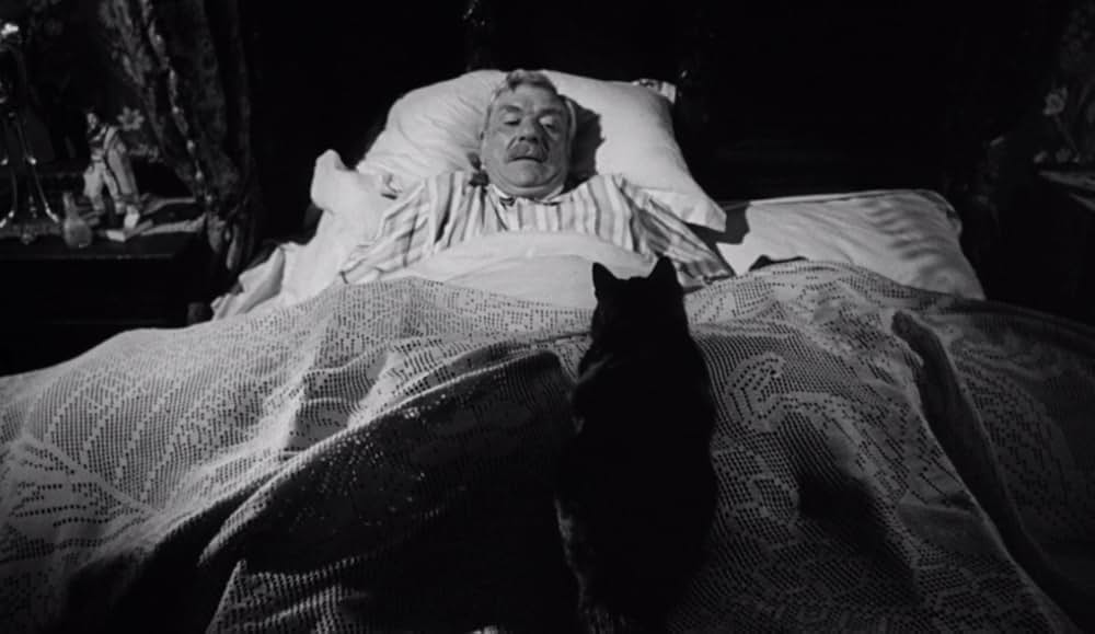 The Shadow of the Cat（原題）の画像