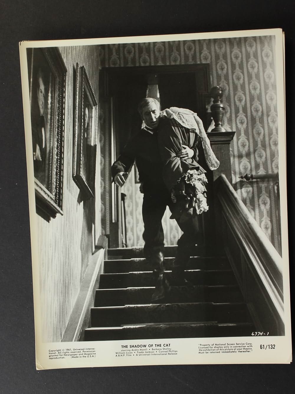 The Shadow of the Cat（原題）の画像