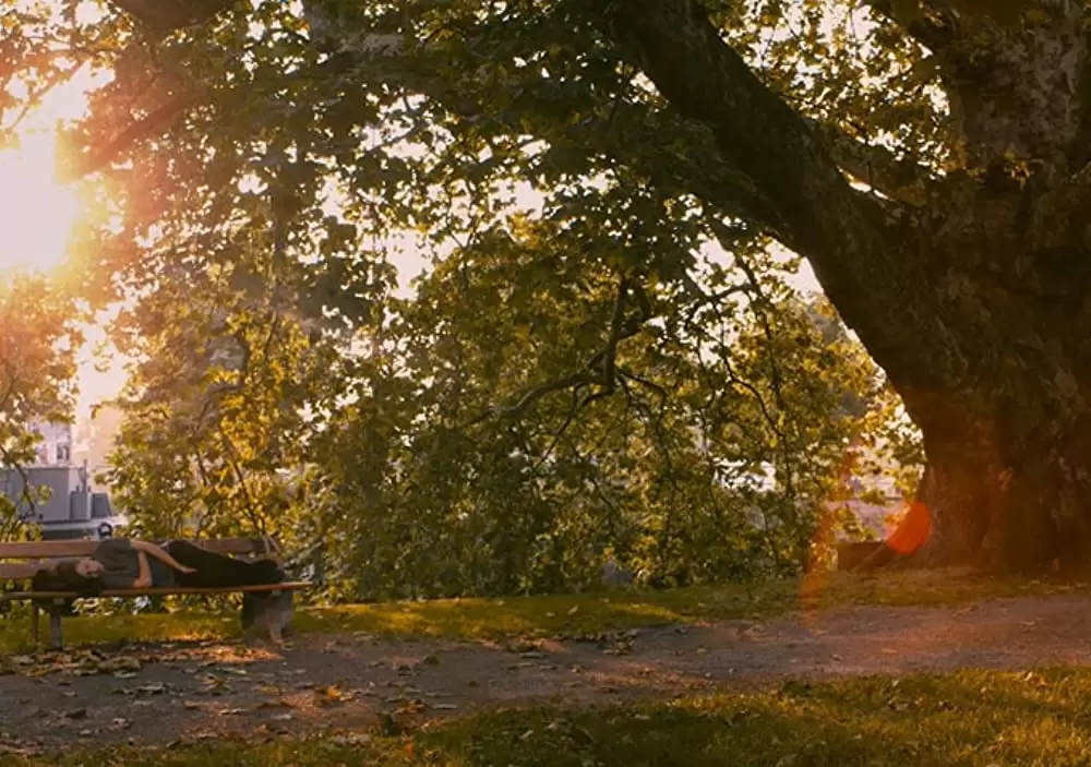 「アデル、ブルーは熱い色」エグザルコプロスの画像