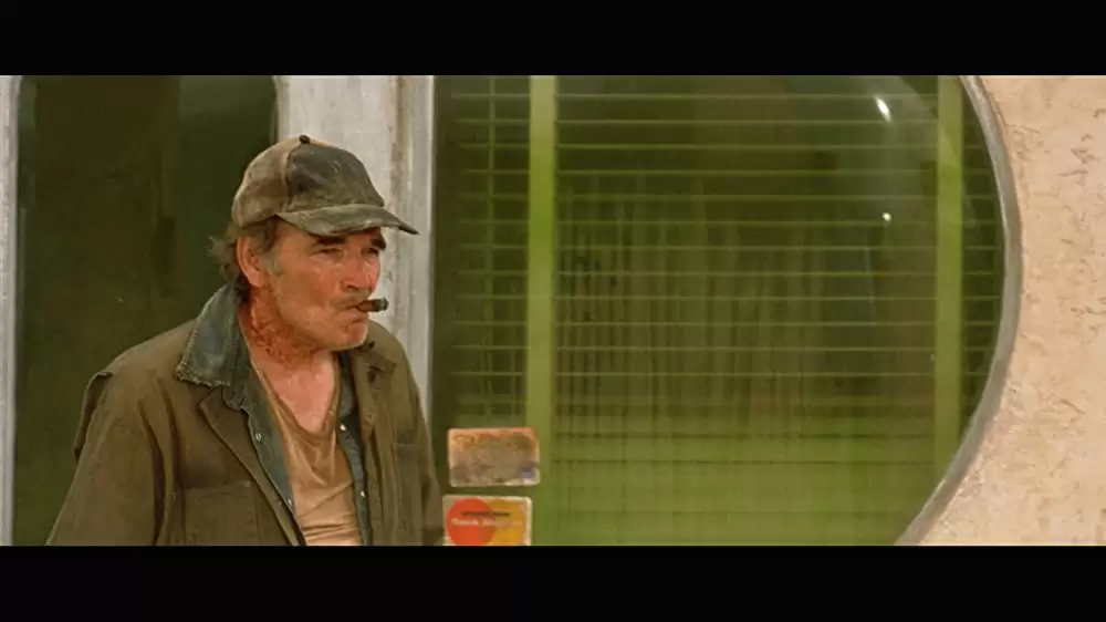 「ヒルズ・ハブ・アイズ」トム・バウアーの画像