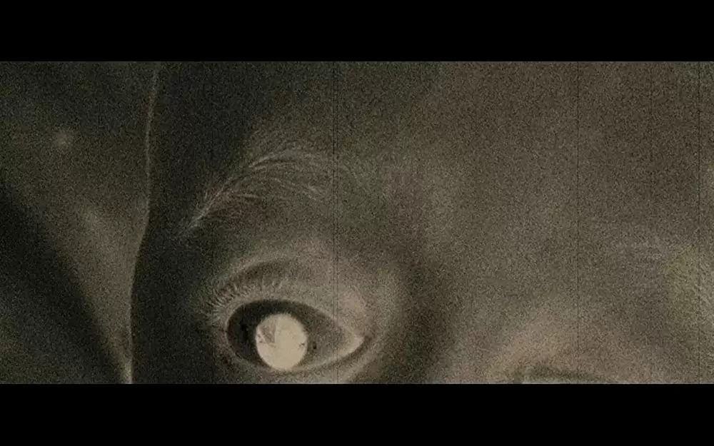 ヒルズ・ハブ・アイズの画像