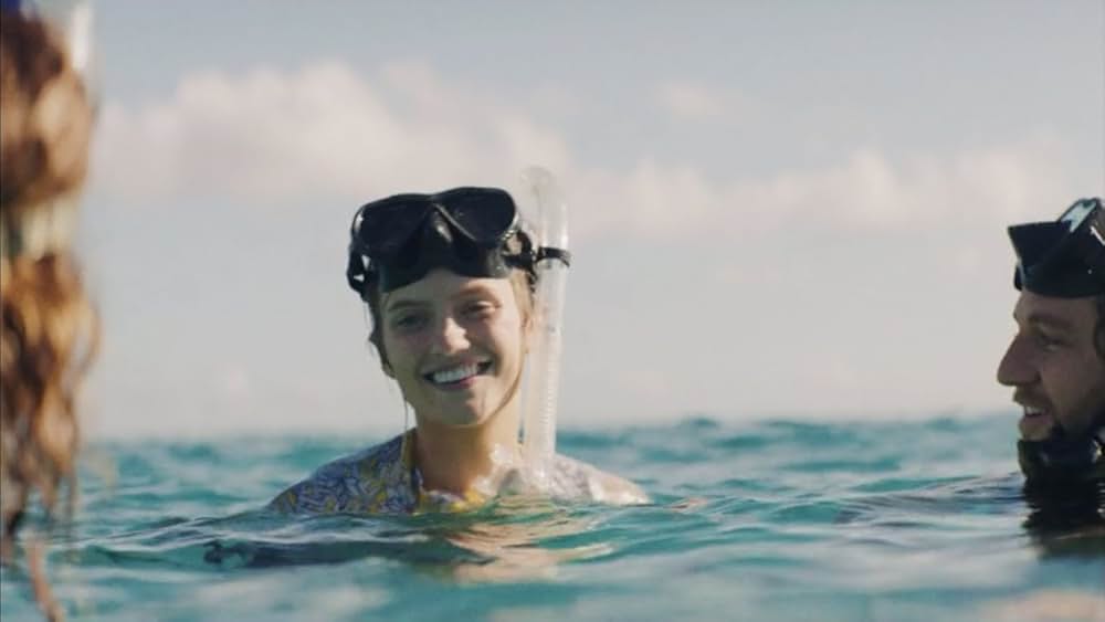 シャークの画像