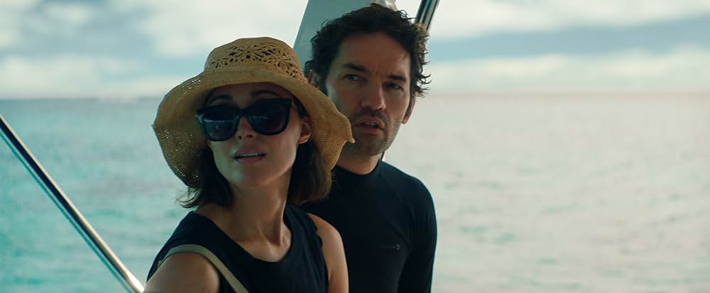 シャークの画像