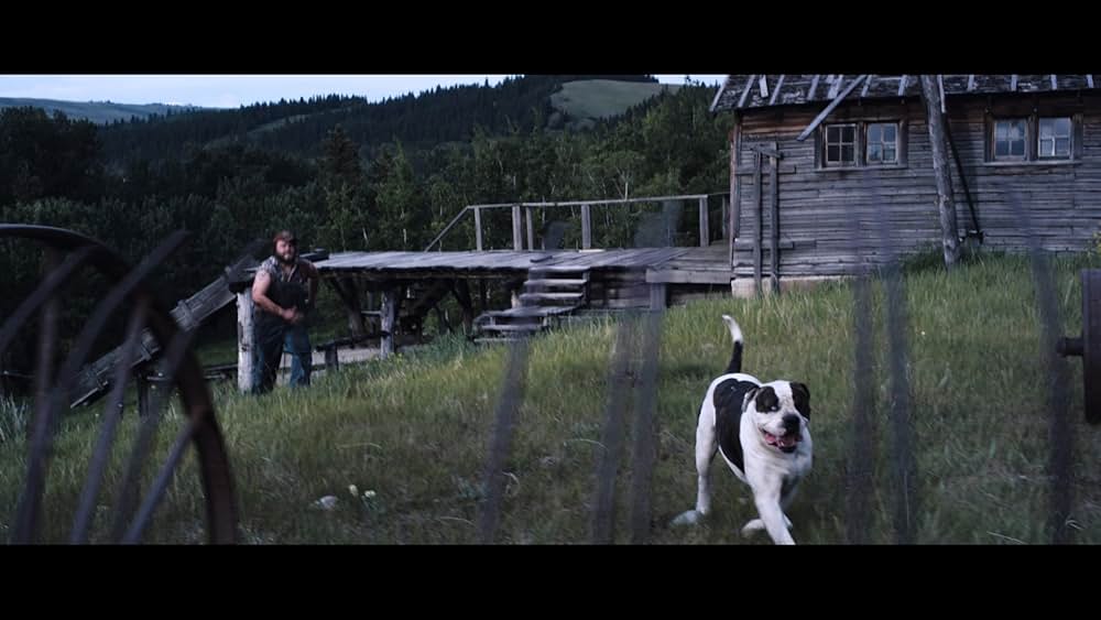 タッカーとデイル 史上最悪にツイてないヤツらの画像