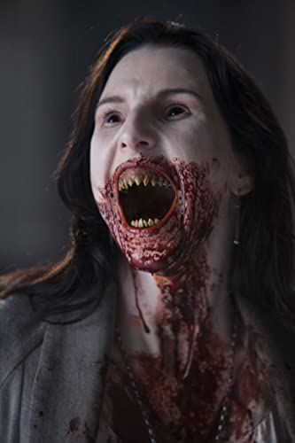 30デイズ・ナイトの画像