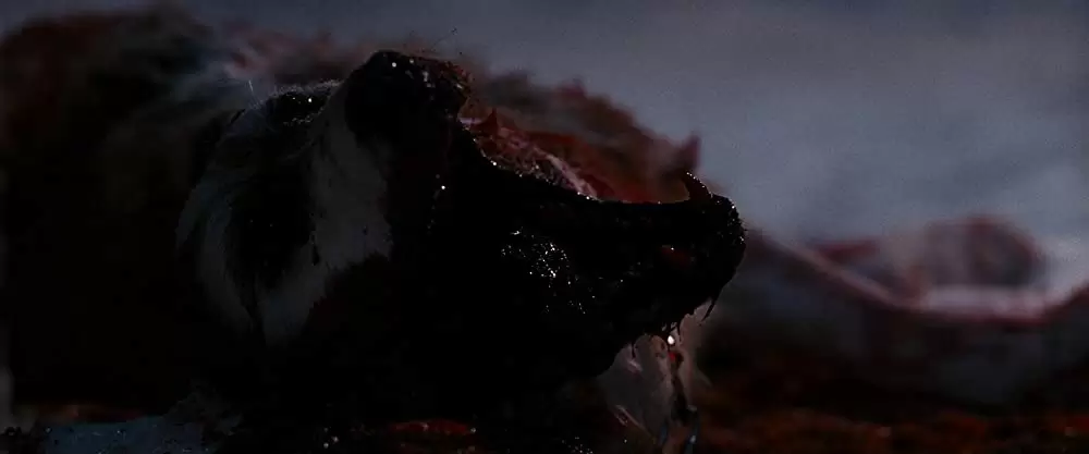 30デイズ・ナイトの画像